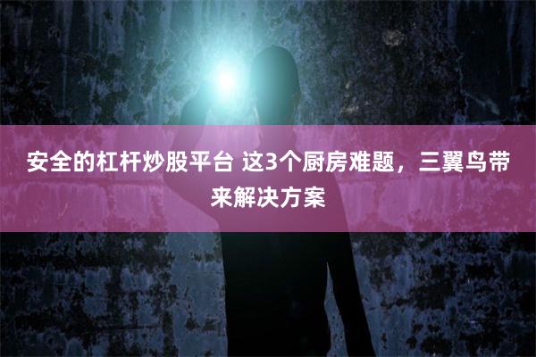 安全的杠杆炒股平台 这3个厨房难题，三翼鸟带来解决方案