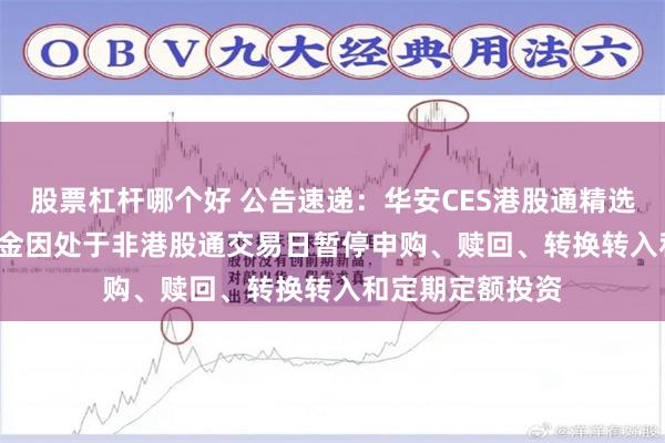 股票杠杆哪个好 公告速递：华安CES港股通精选100ETF联接基金因处于非港股通交易日暂停申购、赎回、转换转入和定期定额投资