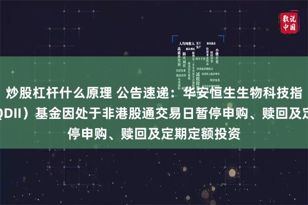 炒股杠杆什么原理 公告速递：华安恒生生物科技指数发起式（QDII）基金因处于非港股通交易日暂停申购、赎回及定期定额投资