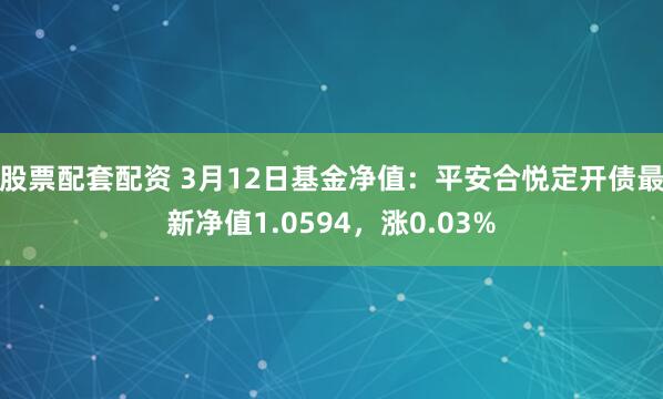 股票配套配资 3月12日基金净值：平安合悦定开债最新净值1.0594，涨0.03%